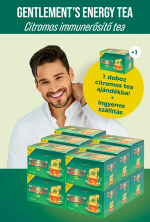 Gentlemens Energy citromos tea 12+1 doboz