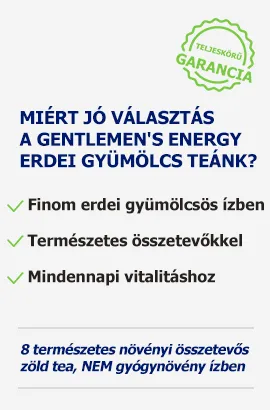 Gentlemen's Energy erdei tea előnyei